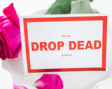 Funny Valentines Card